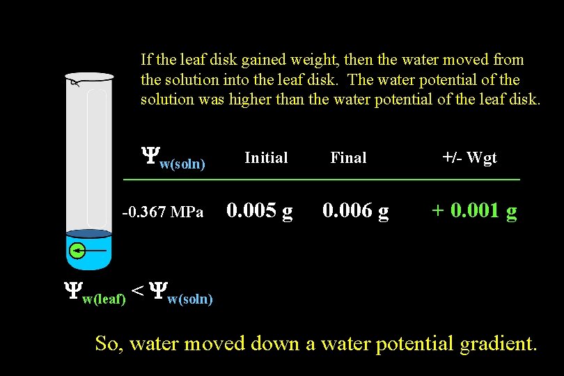 If the leaf disk gained weight, then the water moved from the solution into If the leaf disk gained weight, then the water moved from the solution into