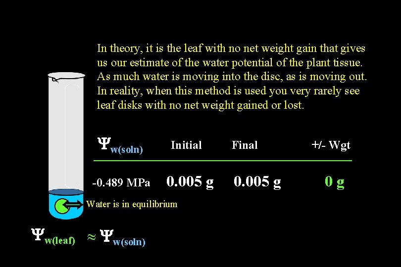 In theory, it is the leaf with no net weight gain that gives us In theory, it is the leaf with no net weight gain that gives us