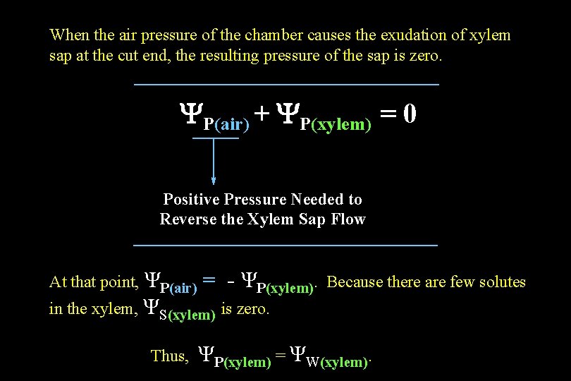 When the air pressure of the chamber causes the exudation of xylem sap at When the air pressure of the chamber causes the exudation of xylem sap at