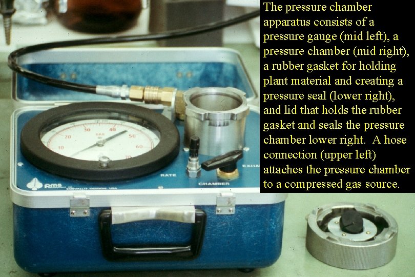 The pressure chamber apparatus consists of a pressure gauge (mid left), a pressure chamber The pressure chamber apparatus consists of a pressure gauge (mid left), a pressure chamber