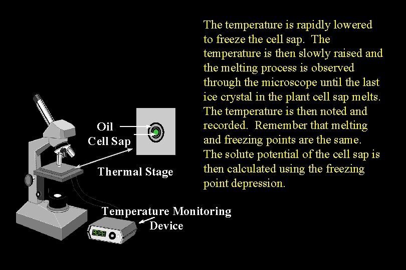 Oil Cell Sap Thermal Stage The temperature is rapidly lowered to freeze the cell Oil Cell Sap Thermal Stage The temperature is rapidly lowered to freeze the cell