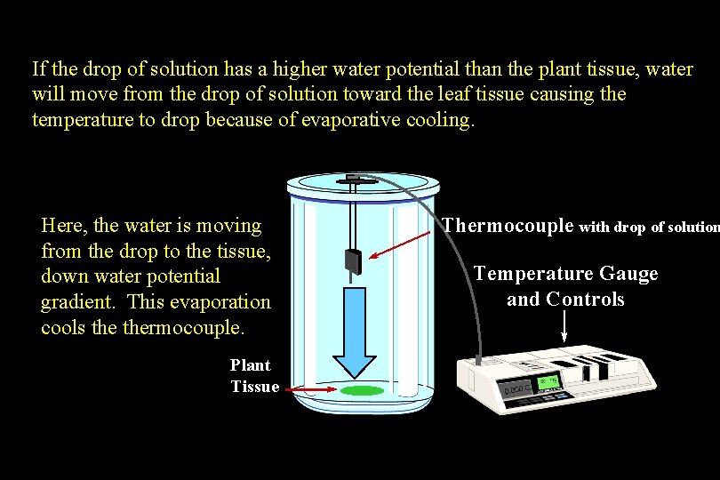 If the drop of solution has a higher water potential than the plant tissue, If the drop of solution has a higher water potential than the plant tissue,