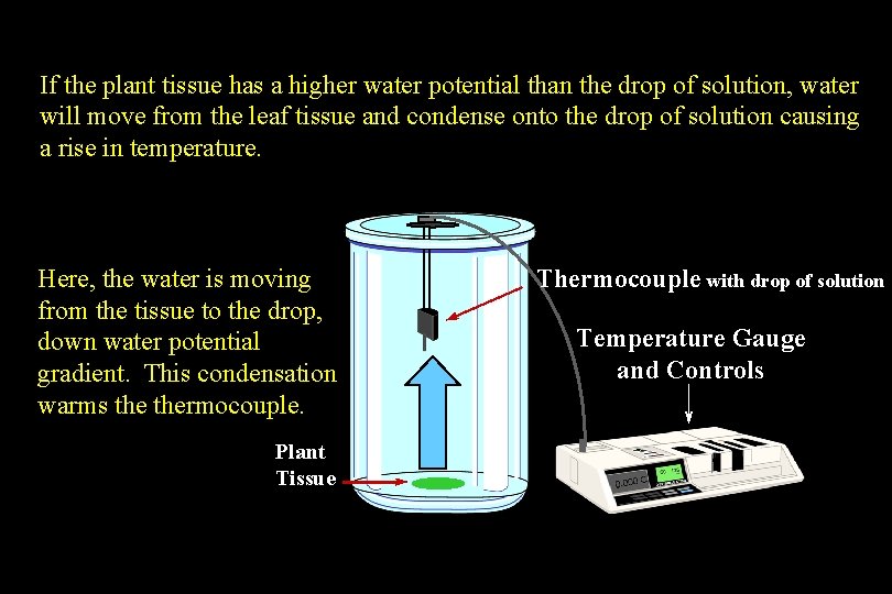 If the plant tissue has a higher water potential than the drop of solution, If the plant tissue has a higher water potential than the drop of solution,