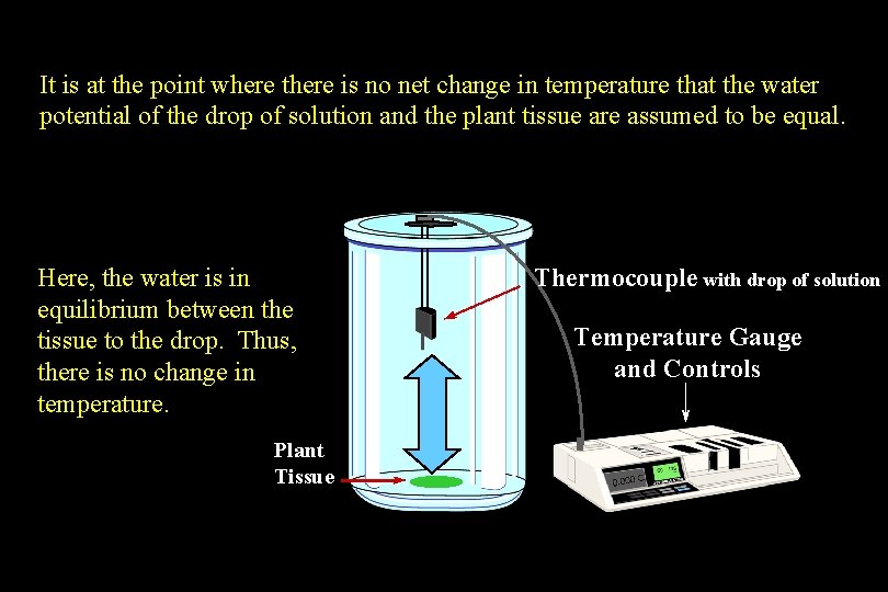 It is at the point where there is no net change in temperature that It is at the point where there is no net change in temperature that