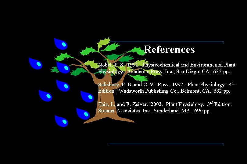 References Nobel, P. S. 1991. Physicochemical and Environmental Plant Physiology. Academic Press, Inc. , References Nobel, P. S. 1991. Physicochemical and Environmental Plant Physiology. Academic Press, Inc. ,