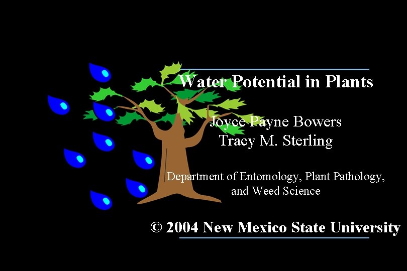 Water Potential in Plants Joyce Payne Bowers Tracy M. Sterling Department of Entomology, Plant Water Potential in Plants Joyce Payne Bowers Tracy M. Sterling Department of Entomology, Plant