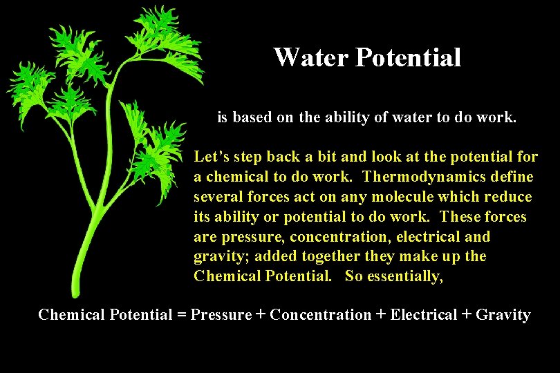 Water Potential is based on the ability of water to do work. Let’s step Water Potential is based on the ability of water to do work. Let’s step