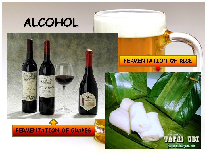 ALCOHOL FERMENTATION OF RICE FERMENTATION OF GRAPES 