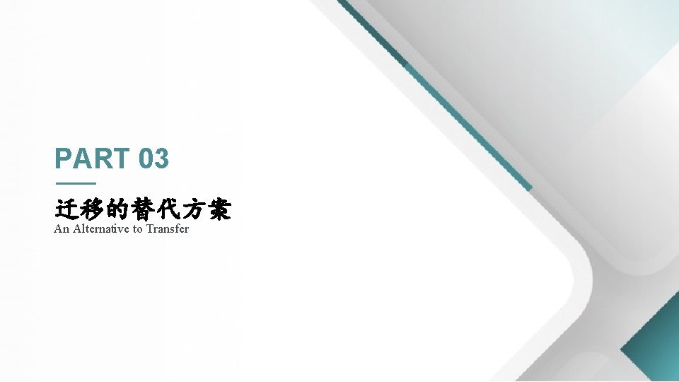PART 03 迁移的替代方案 An Alternative to Transfer 