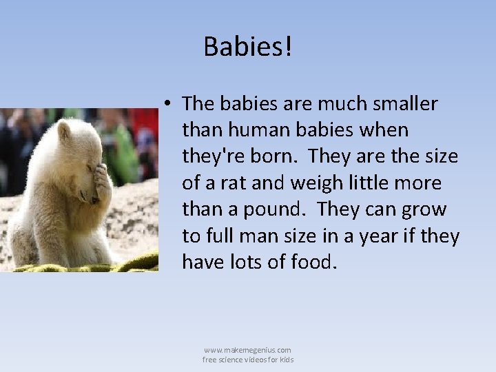 Babies! • The babies are much smaller than human babies when they're born. They