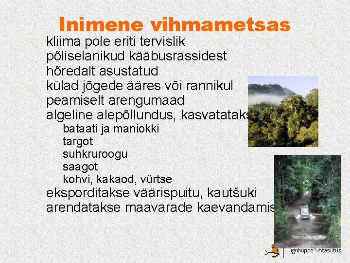 Inimene vihmametsas l l l kliima pole eriti tervislik põliselanikud kääbusrassidest hõredalt asustatud külad Inimene vihmametsas l l l kliima pole eriti tervislik põliselanikud kääbusrassidest hõredalt asustatud külad