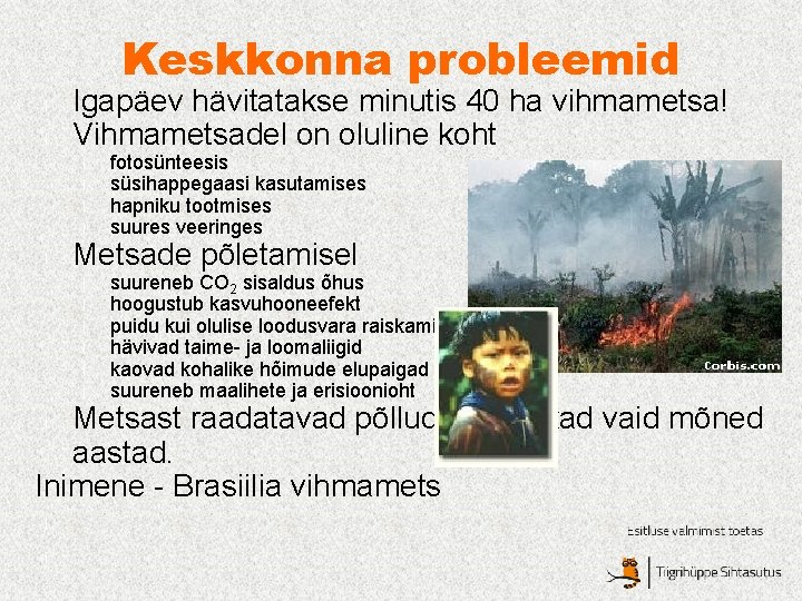 Keskkonna probleemid l l l Igapäev hävitatakse minutis 40 ha vihmametsa! Vihmametsadel on oluline Keskkonna probleemid l l l Igapäev hävitatakse minutis 40 ha vihmametsa! Vihmametsadel on oluline