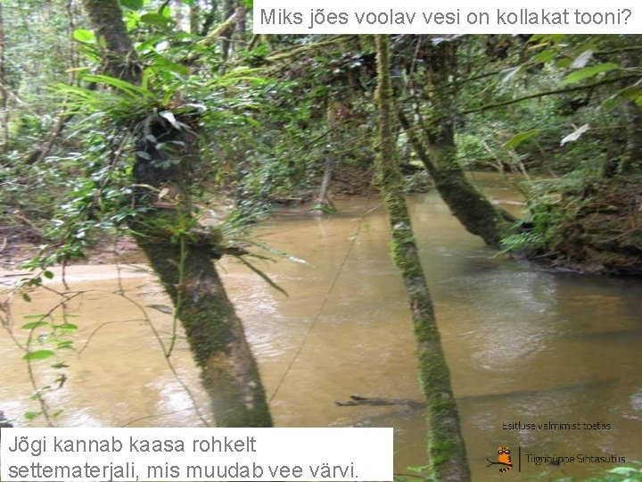 Miks jões voolav vesi on kollakat tooni? Jõgi kannab kaasa rohkelt settematerjali, mis muudab Miks jões voolav vesi on kollakat tooni? Jõgi kannab kaasa rohkelt settematerjali, mis muudab