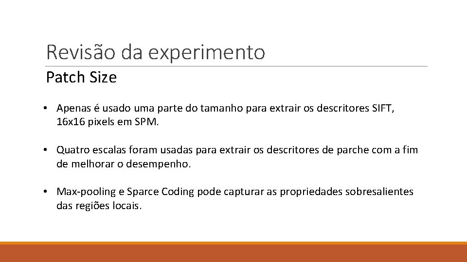 Revisão da experimento Patch Size • Apenas é usado uma parte do tamanho para