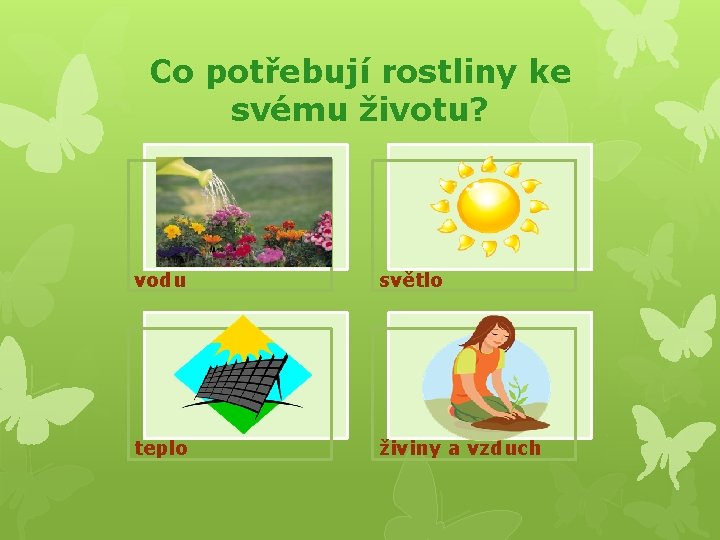 Co potřebují rostliny ke svému životu? vodu světlo teplo živiny a vzduch 