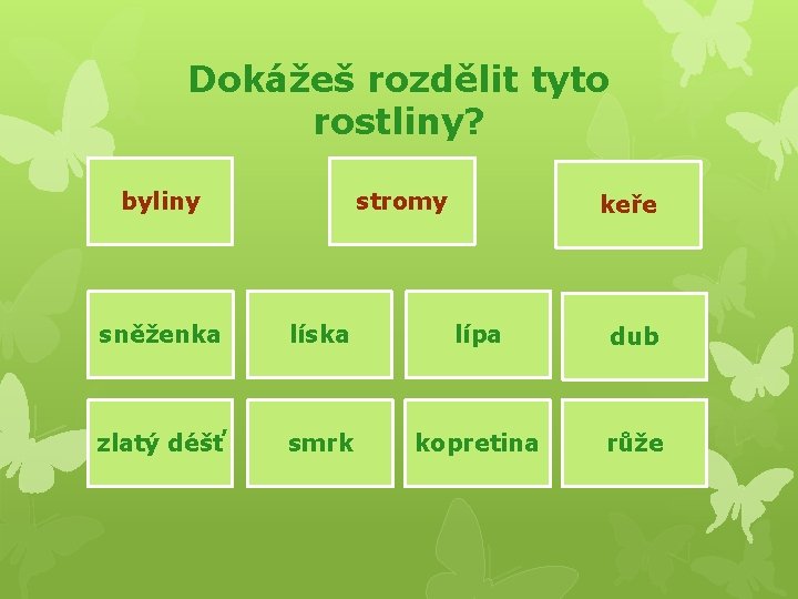 Dokážeš rozdělit tyto rostliny? byliny stromy keře sněženka líska lípa dub zlatý déšť smrk