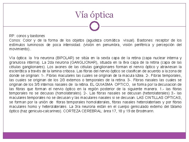 Vía óptica RP: conos y bastones Conos: Color y de la forma de los