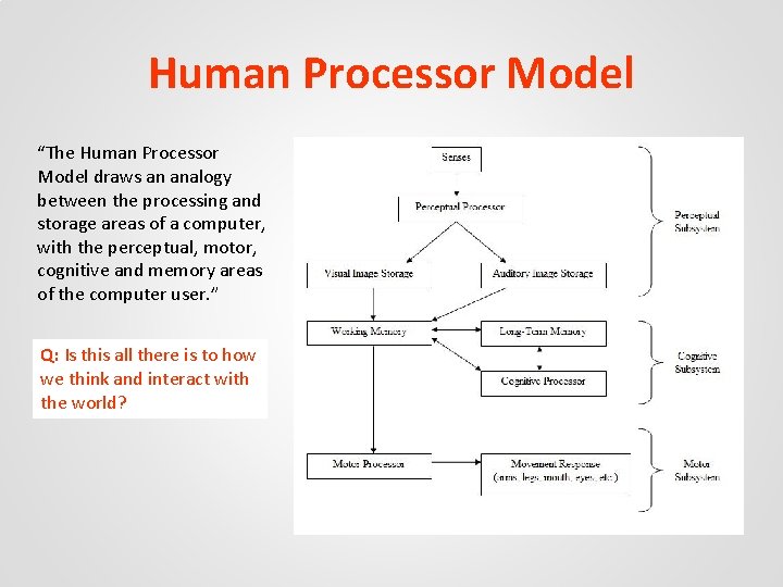 Human Processor Model “The Human Processor Model draws an analogy between the processing and