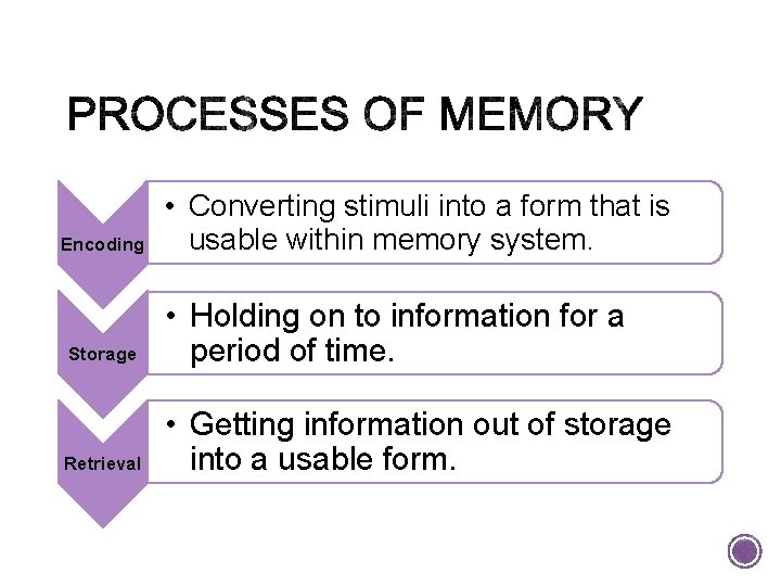 Encoding • Converting stimuli into a form that is usable within memory system. Storage