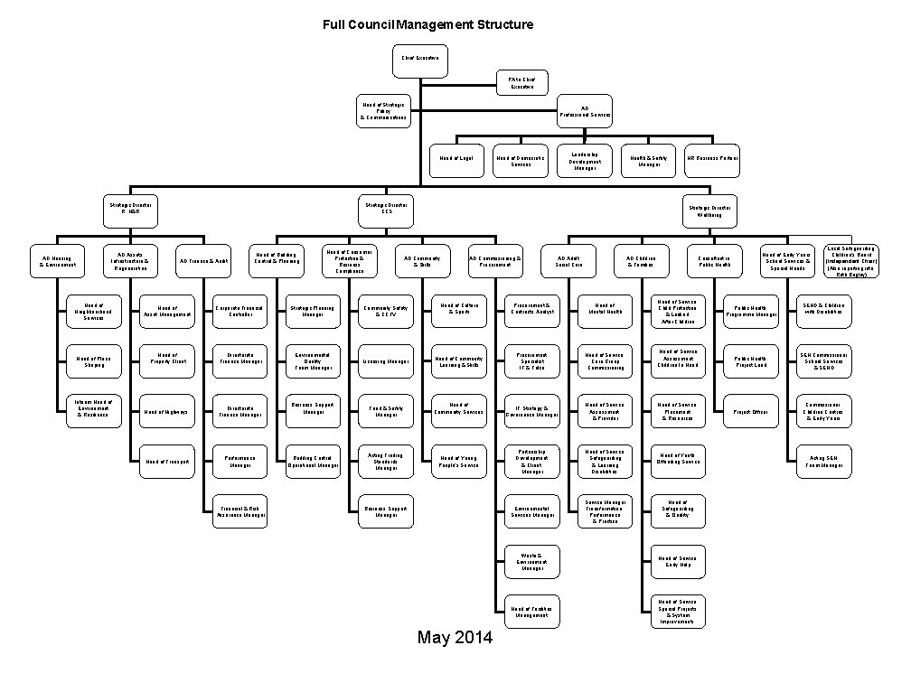 Full Council Management Structure Chief Executive PA to Chief Executive Head of Strategic Policy