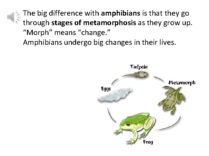 The big difference with amphibians is that they go through stages of metamorphosis as