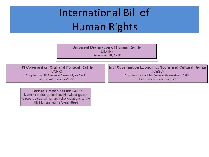 International Bill of Human Rights 