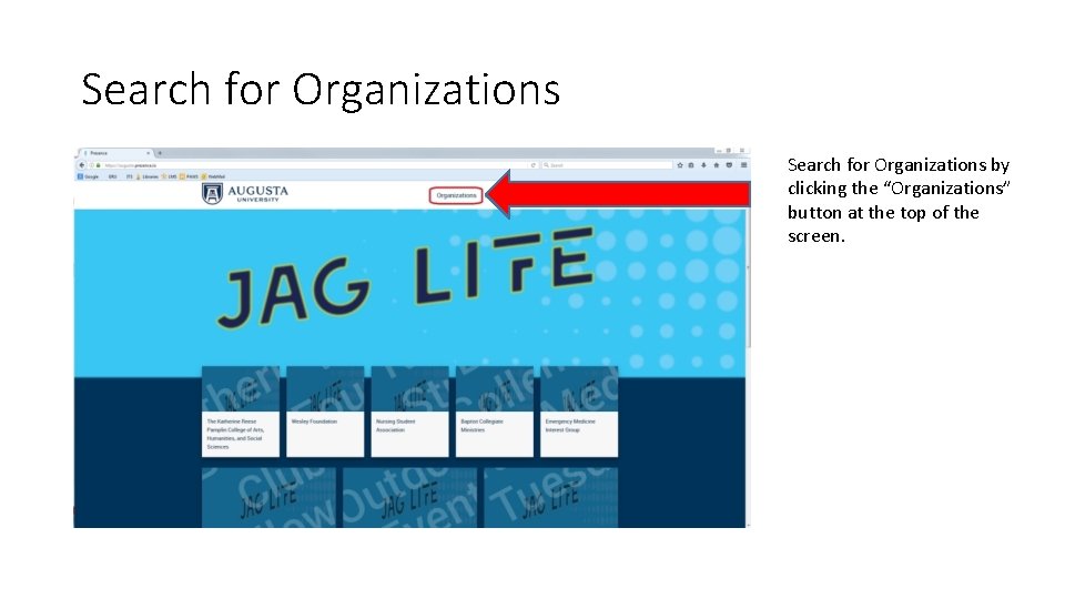 Search for Organizations by clicking the “Organizations” button at the top of the screen.