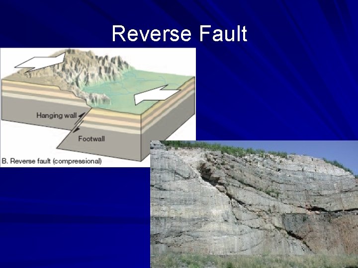 Reverse Fault 