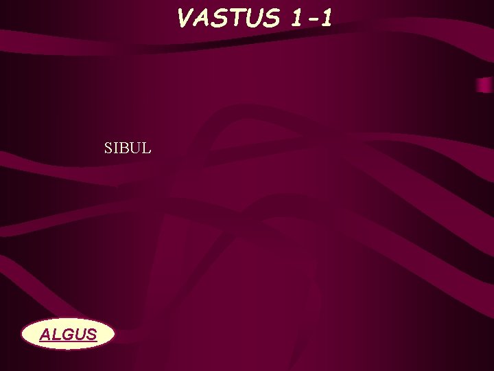 VASTUS 1 -1 SIBUL ALGUS 