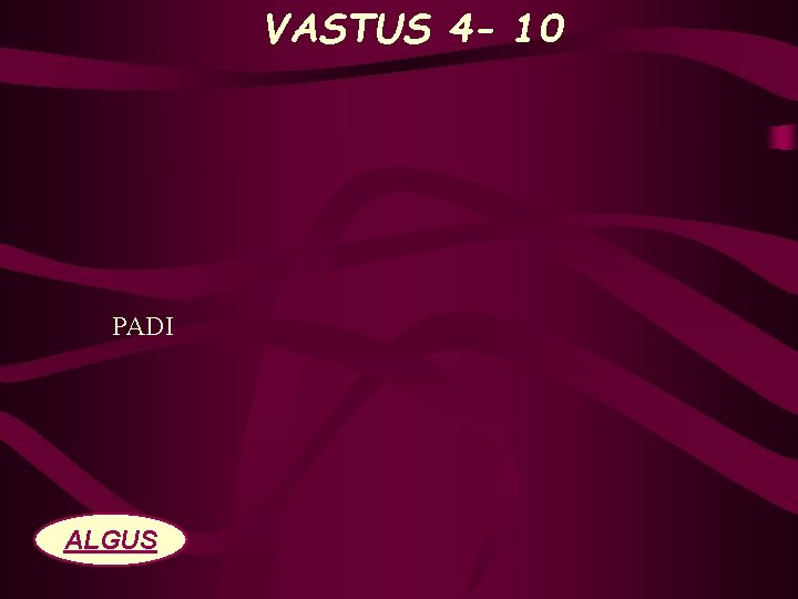 VASTUS 4 - 10 PADI ALGUS 