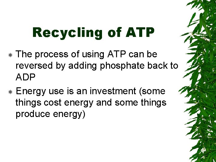 Recycling of ATP The process of using ATP can be reversed by adding phosphate