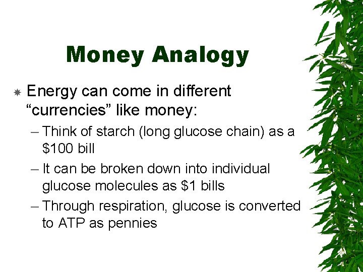 Money Analogy Energy can come in different “currencies” like money: – Think of starch