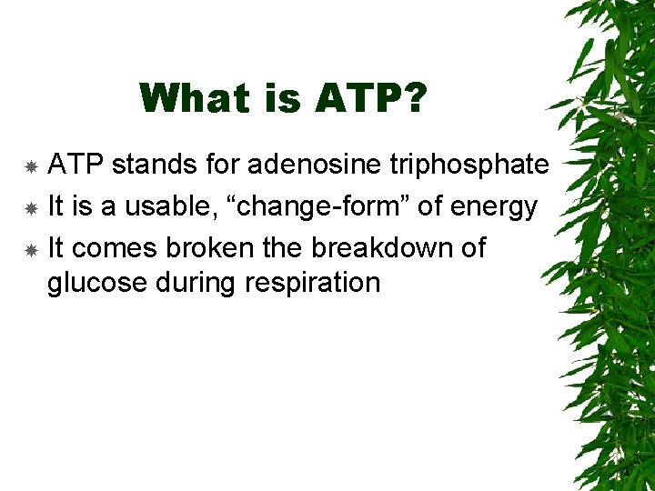 What is ATP? ATP stands for adenosine triphosphate It is a usable, “change-form” of