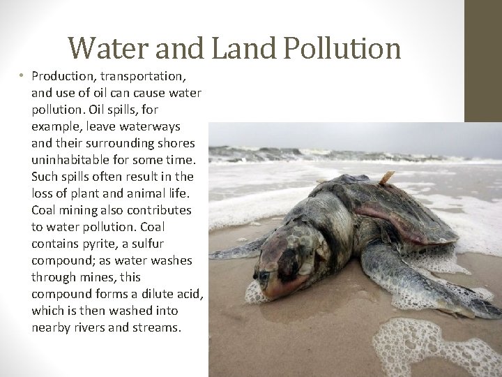 Water and Land Pollution • Production, transportation, and use of oil can cause water