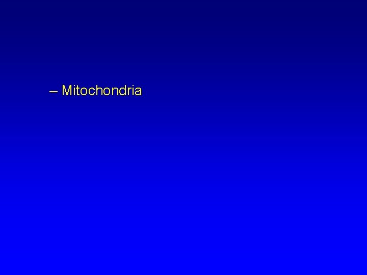 – Mitochondria 