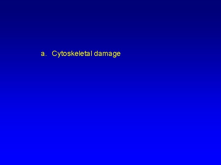 a. Cytoskeletal damage 