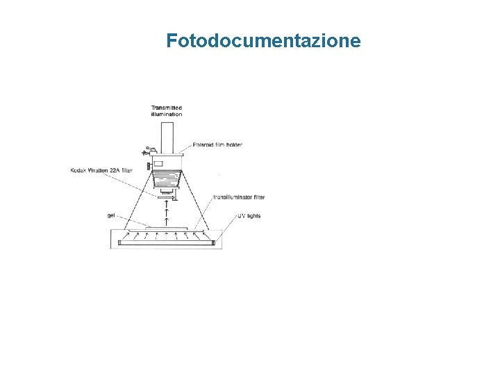 Fotodocumentazione 