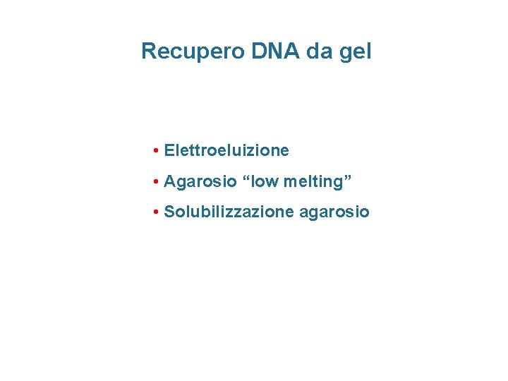 Recupero DNA da gel • Elettroeluizione • Agarosio “low melting” • Solubilizzazione agarosio 