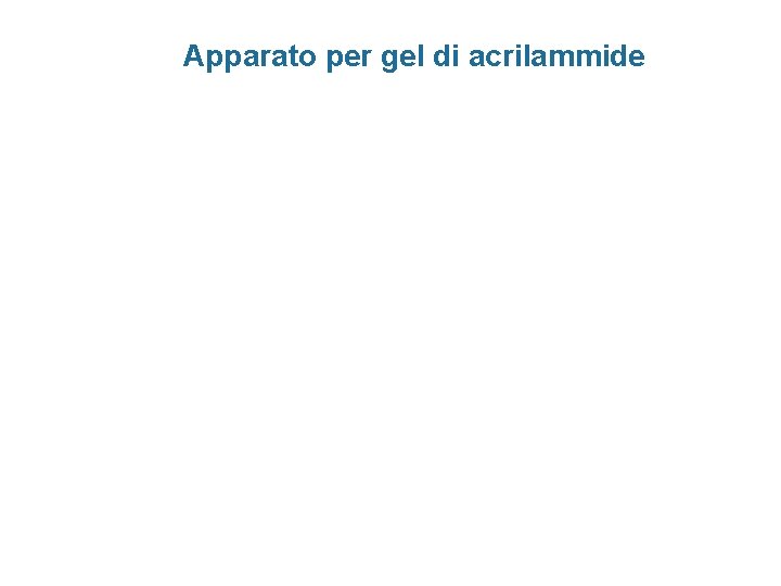 Apparato per gel di acrilammide 