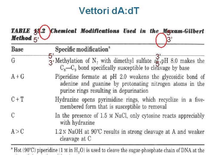 Vettori d. A: d. T 3’ 5’ 5’ 3’ 3’ 5’ 