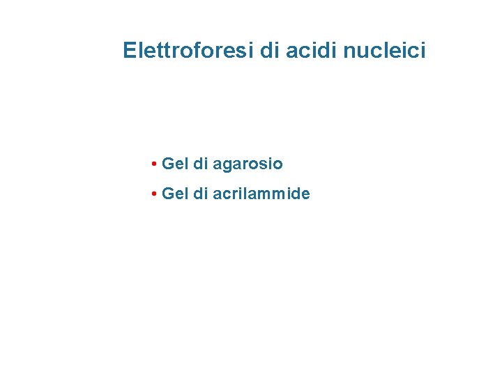 Elettroforesi di acidi nucleici • Gel di agarosio • Gel di acrilammide 