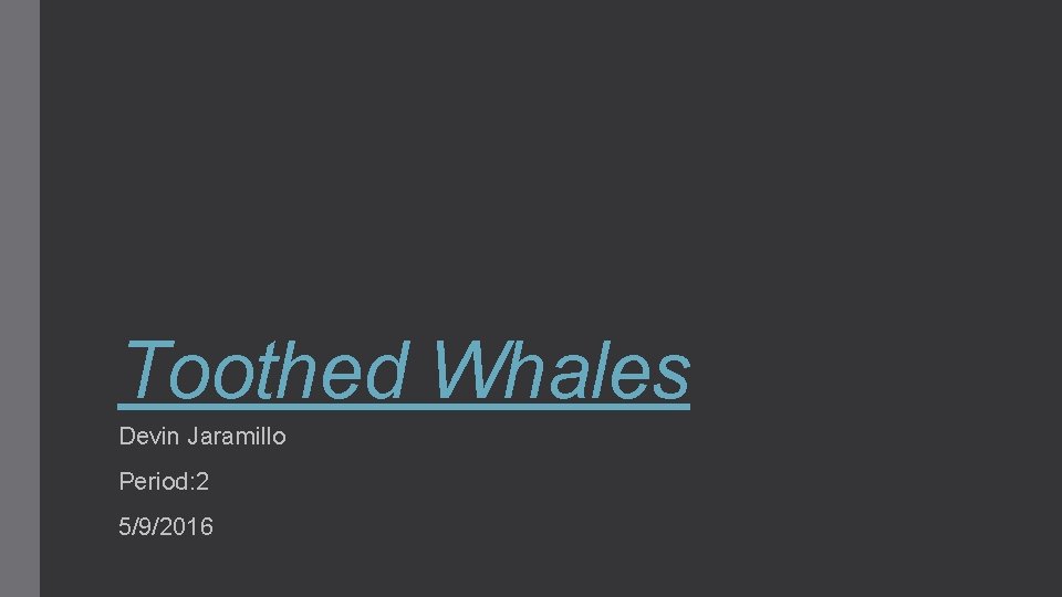 Toothed Whales Devin Jaramillo Period: 2 5/9/2016 