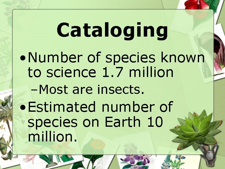Chapter 10 Biodiversity Lesson 10 1 What is