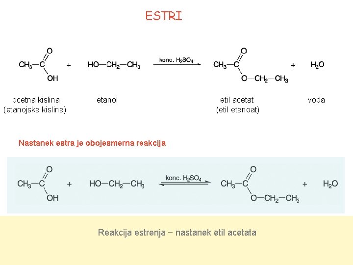 ESTRI ocetna kislina (etanojska kislina) etanol etil acetat (etil etanoat) Nastanek estra je obojesmerna