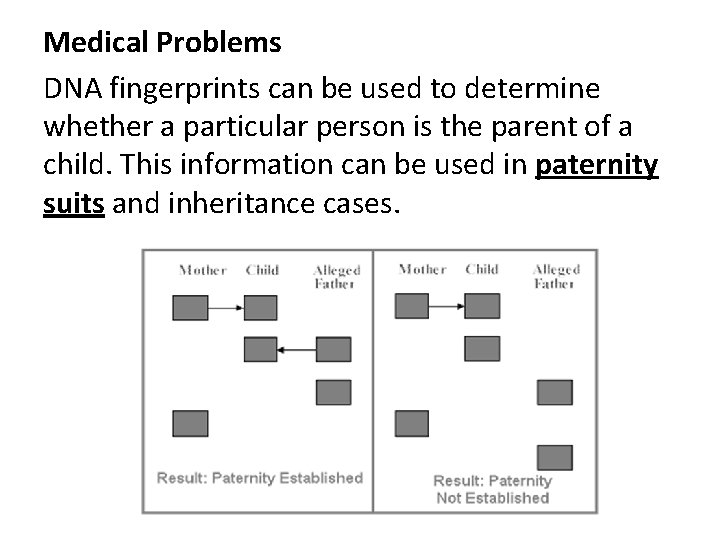 Medical Problems DNA fingerprints can be used to determine whether a particular person is