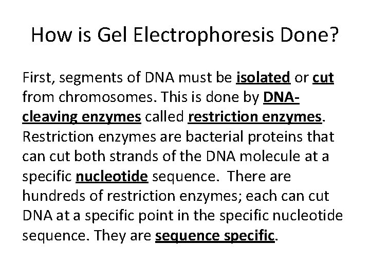 How is Gel Electrophoresis Done? First, segments of DNA must be isolated or cut