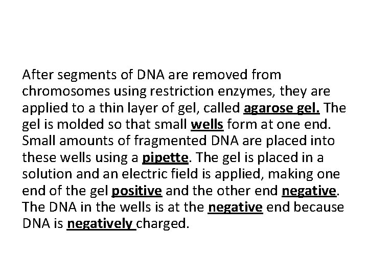 After segments of DNA are removed from chromosomes using restriction enzymes, they are applied