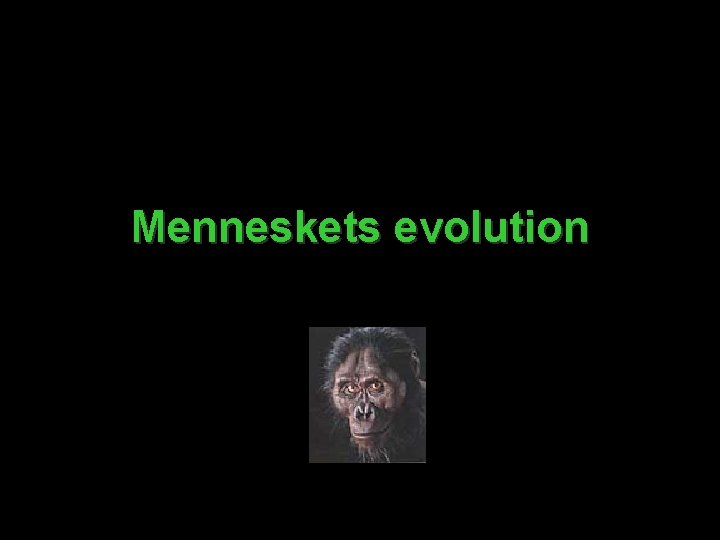 Menneskets evolution 