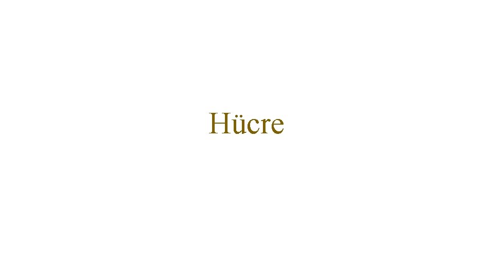 Hücre 