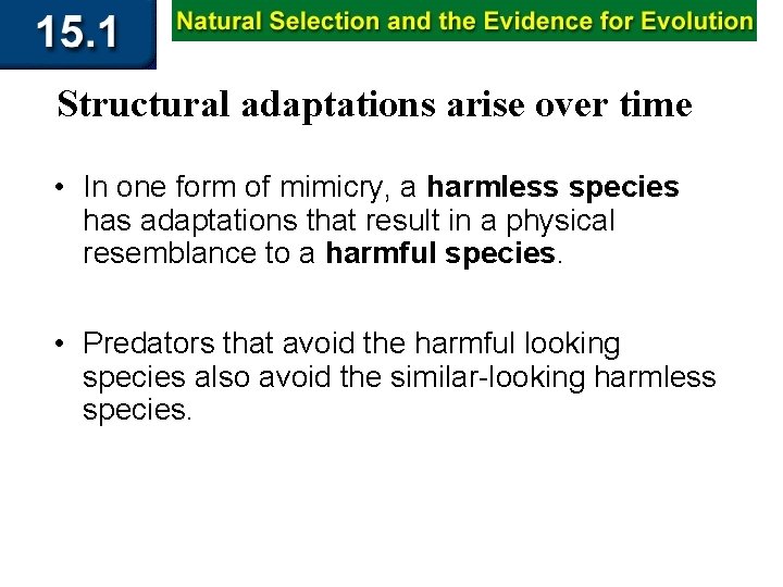 Structural adaptations arise over time • In one form of mimicry, a harmless species